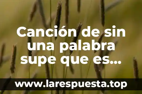 Canción de sin una palabra supe que es amor