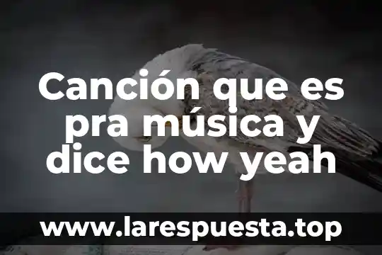 Que es know how en contabilidad ejemplos 7 Canción que es pra música y dice how yeah