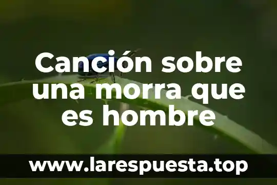Que es que un hombre tenga muchas esposa 6 Canción sobre una morra que es hombre