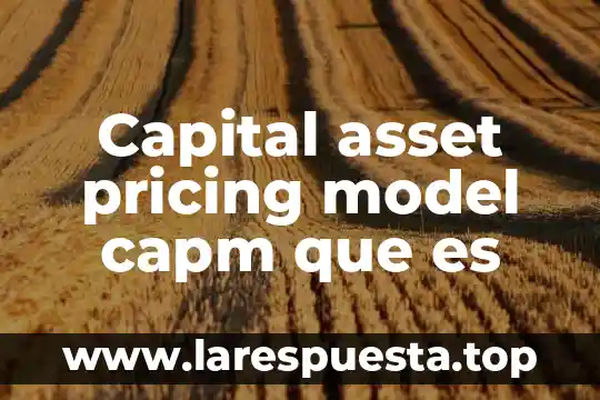 Que es model convvar de barberia 6 Capital asset pricing model capm que es