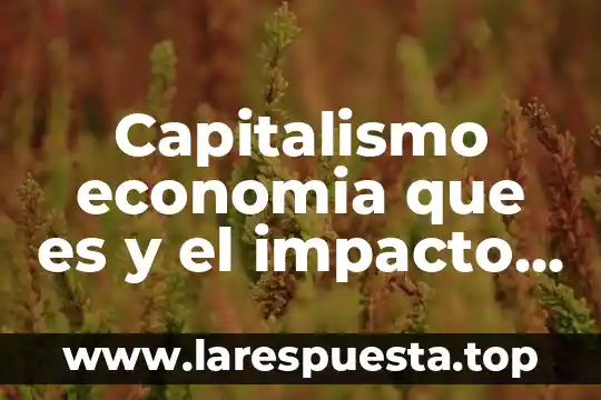 Qué es el alto impacto ambiental 3 Capitalismo economia que es y el impacto en industrial
