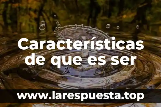 Características de que es ser