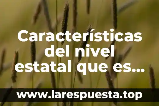Que es la compara de media 6 Características del nivel estatal que es el federalismo