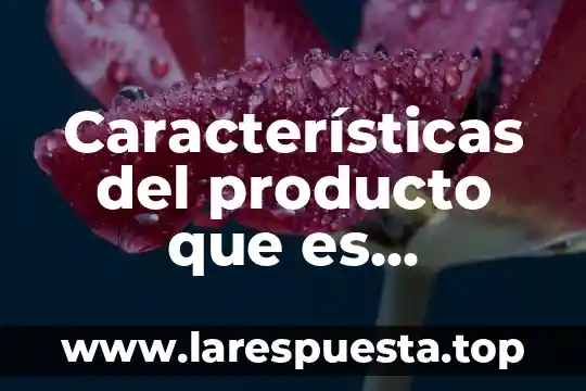 Características del producto que es producido y el servicio proporcionado