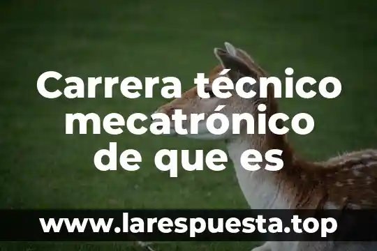 Qué es secretario técnico 7 Carrera técnico mecatrónico de que es