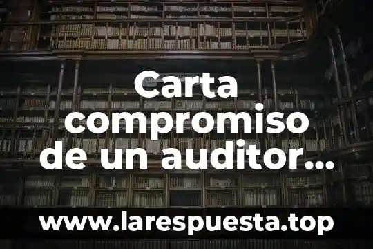 Que es dato de compromiso neurovascular distaa 7 Carta compromiso de un auditor que es