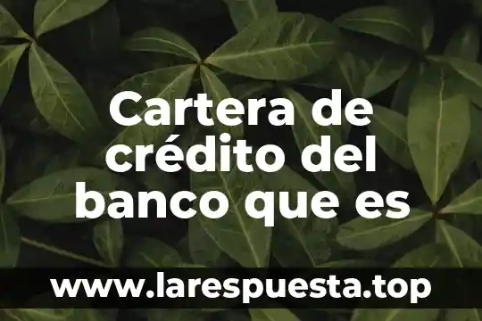 Cartera de crédito del banco que es