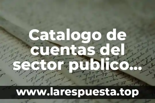 Que es un catalogo en comercios 6 Catalogo de cuentas del sector publico que es