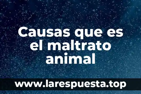 Causas que es el maltrato animal