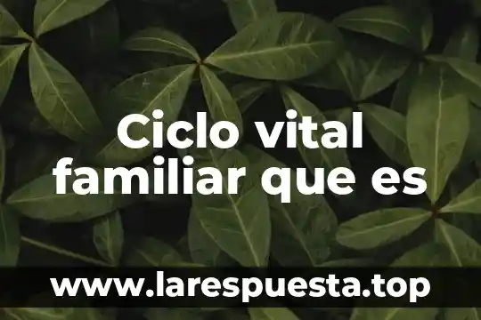 Ciclo vital familiar que es