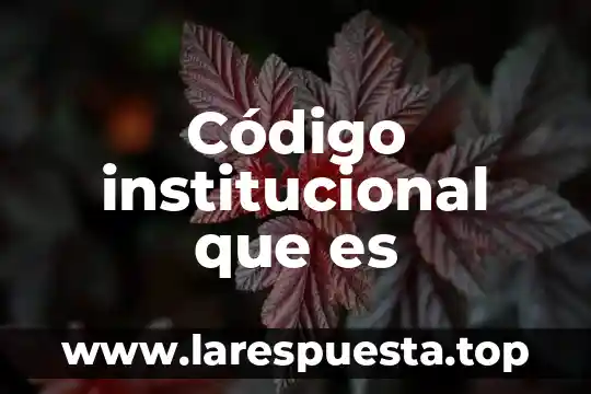 Que es evaluacion institucional y por niveles 6 Código institucional que es