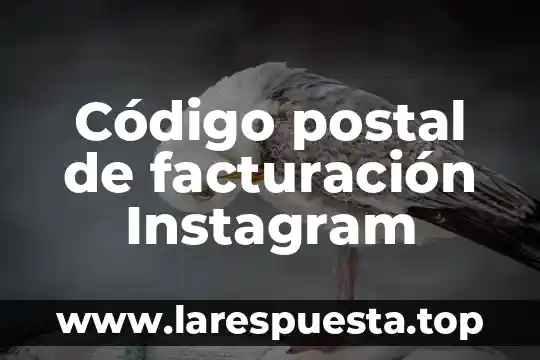 Que es el circulo rojo en instagram en buscar personas 6 Código postal de facturación Instagram
