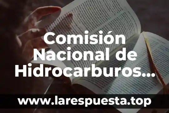 Comisión Nacional de Hidrocarburos que es y funcion
