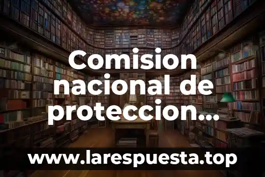 Comision nacional de proteccion social en salud que es