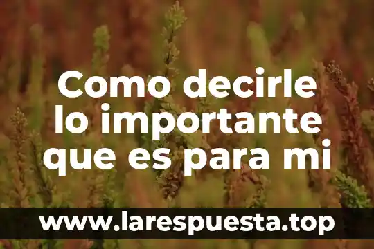 Como decirle a una persona que es egocéntrica 4 Como decirle lo importante que es para mi