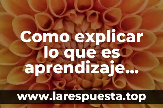 Que es resumen y estrategia de aprendizaje 6 Como explicar lo que es aprendizaje organizacional