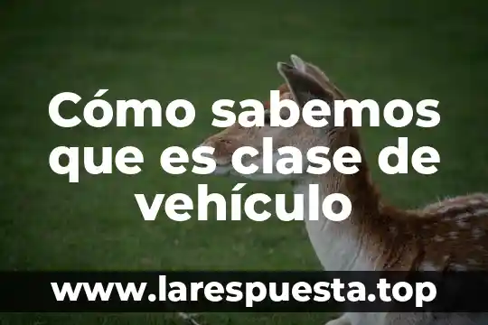 Cómo sabemos que es clase de vehículo