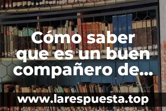 Cómo saber que es un buen compañero de clase