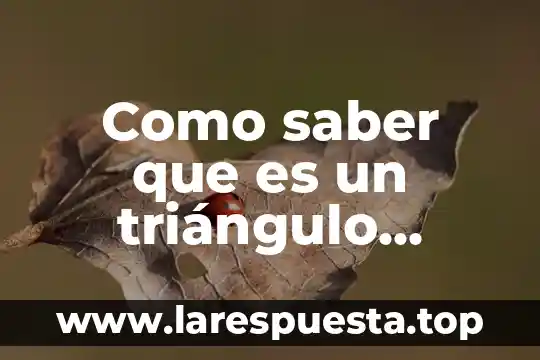 Sin saber que es lo que hago 3 Como saber que es un triángulo isósceles