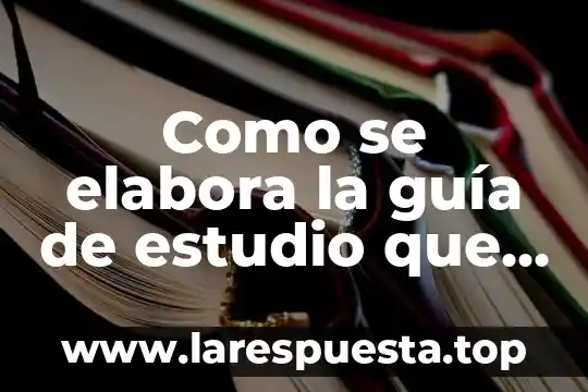 Como se elabora la guía de estudio que es traguía