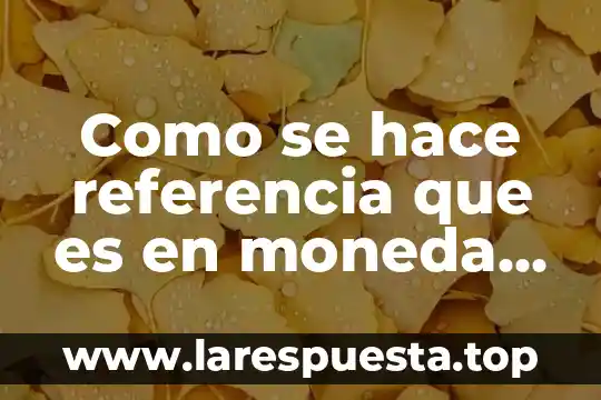 Qué es un guiñol y cómo se hace 4 Como se hace referencia que es en moneda mexicana