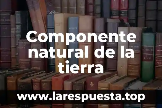 Componente natural de la tierra