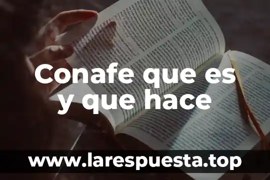 Que es y como se hace un estudio de mercado 4 Conafe que es y que hace