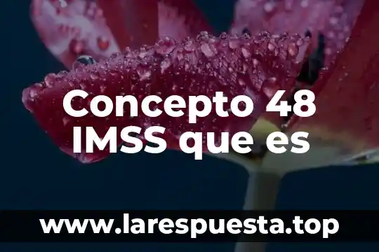 Concepto 48 IMSS que es
