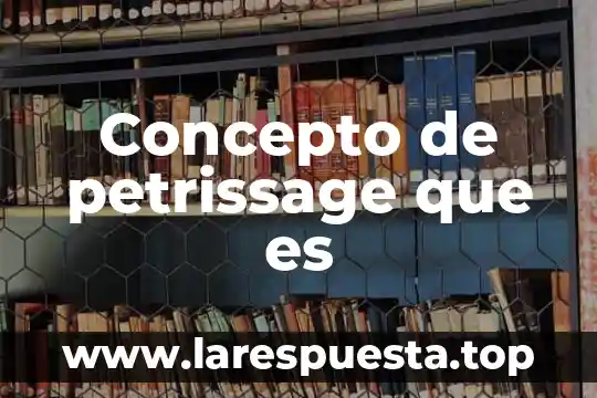 Concepto de petrissage que es