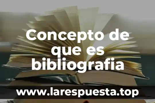 Qué es el concepto js en el talón de cheque 4 Concepto de que es bibliografia