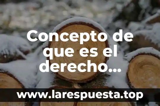 Qué es derecho preclásico romano 8 Concepto de que es el derecho romano
