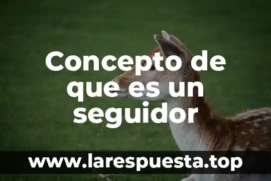 Concepto de que es un seguidor
