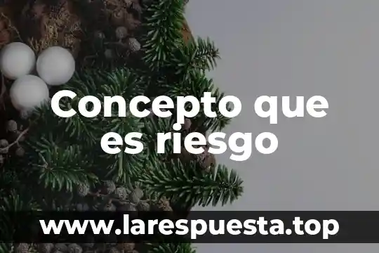 Concepto que es riesgo