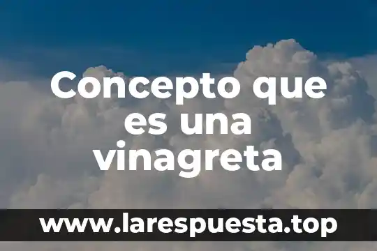 Concepto que es una vinagreta