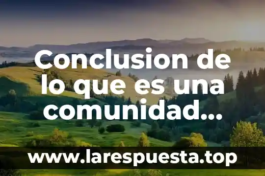 Que es comunidad y cultura 7 Conclusion de lo que es una comunidad virtual