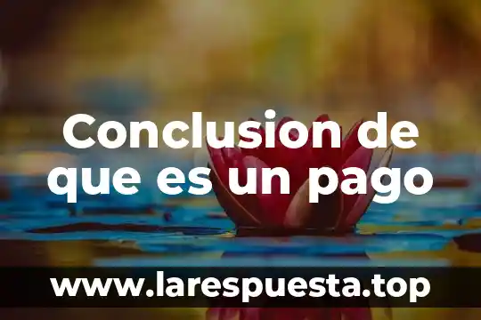 Conclusion de que es un pago