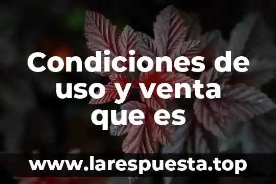 Condiciones de uso y venta que es