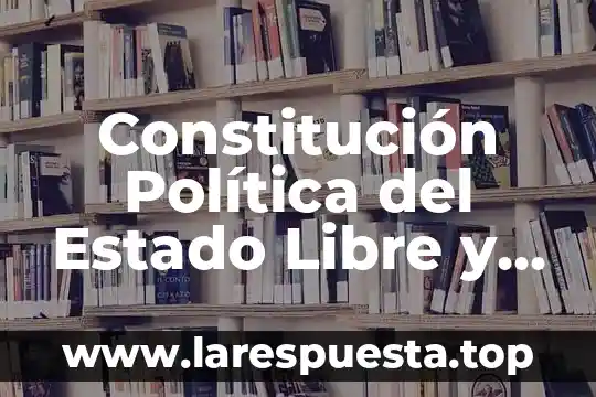 Que es embaldosado en matemáticas 7 Constitución Política del Estado Libre y Soberano que es