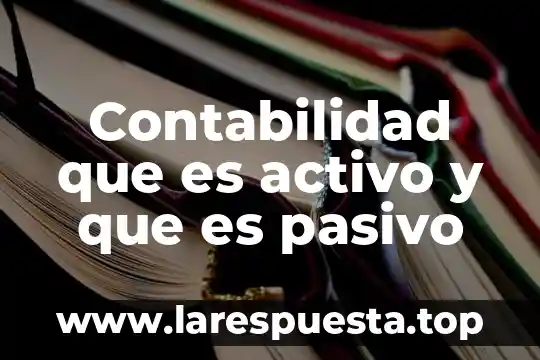 Contabilidad que es activo y que es pasivo