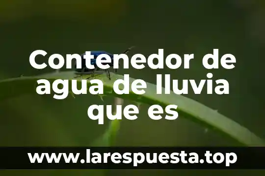 Por que es alarmante la lluvia acida 4 Contenedor de agua de lluvia que es
