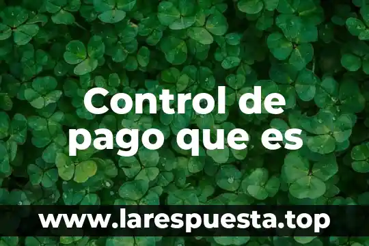 Que es auxiliar de control vehicular 7 Control de pago que es