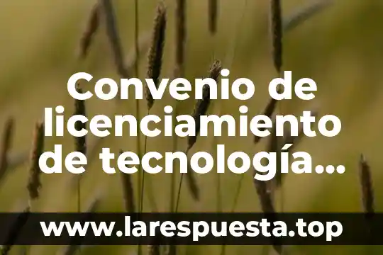 Por que es importante firmar un convenio 4 Convenio de licenciamiento de tecnología que es
