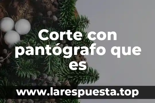 Que es un corte basico de cocina 5 Corte con pantógrafo que es
