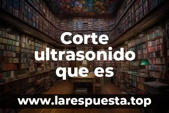 Que es sobre corte en el segmento de linea 8 Corte ultrasonido que es
