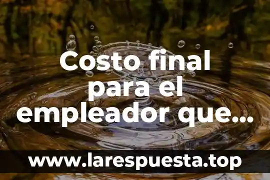 Que es deuda sin costo 8 Costo final para el empleador que es