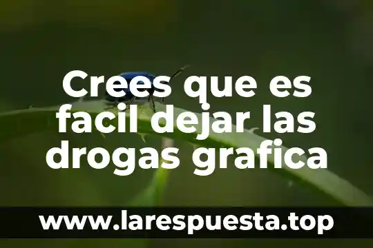 Crees que es facil dejar las drogas grafica