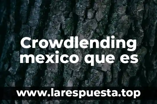 Crowdlending mexico que es