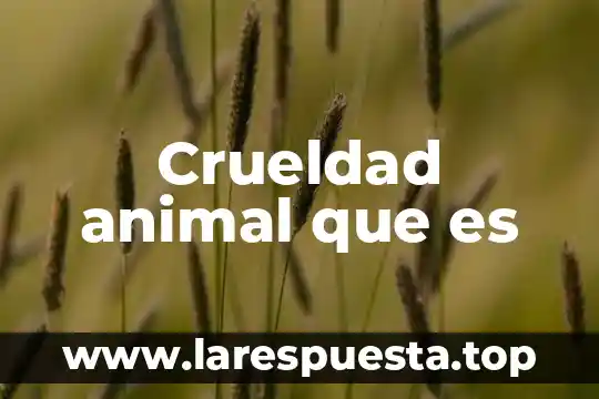 Crueldad animal que es