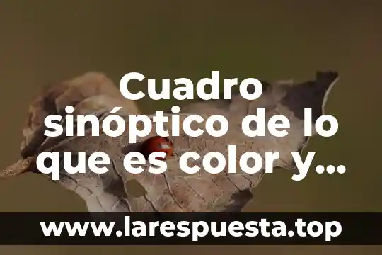 Cuadro sinóptico de lo que es color y sus características