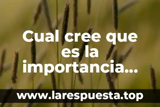 Cual cree que es la importancia del eje magnetico